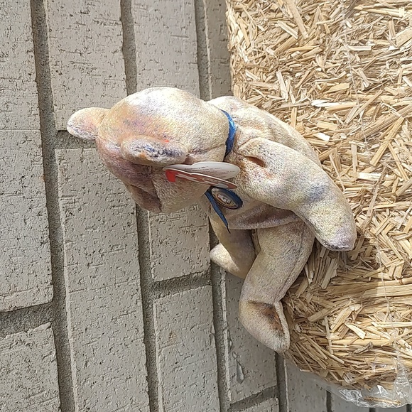 Clubby lll/Ty 🐻 - Picture 6 of 12